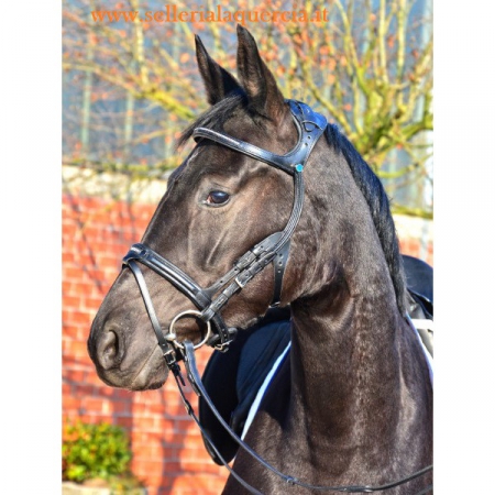 BRIGLIA DRESSAGE EQUESTRO