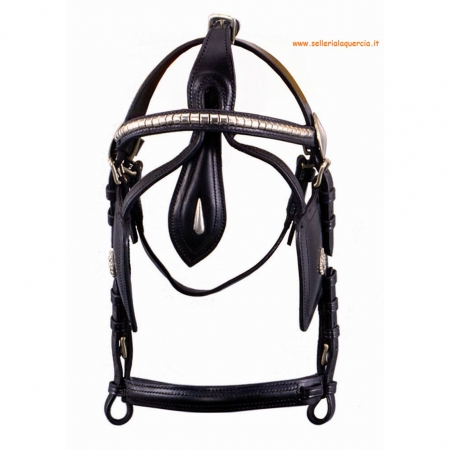 BRIDLE FOR HARNESS