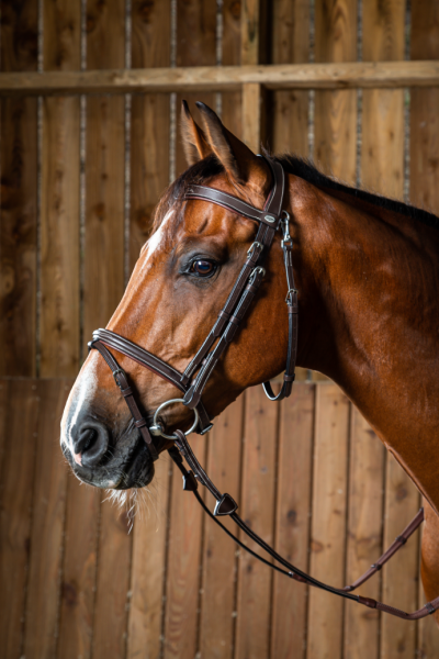 TESTIERA CAVALETTI GOLDY