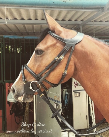 SNAFFLE 2015 BRIDLE  FREEDOM STUBBEN