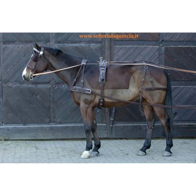 PARIGLIA HARNESS