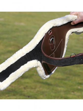 COVER SOTTOPANCIA KENTUCKY