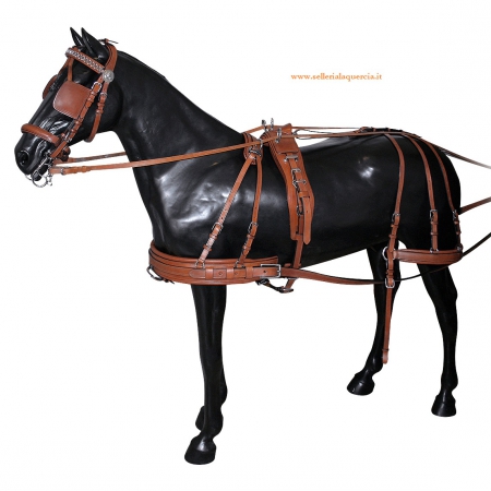 PARIGLIA HARNESS