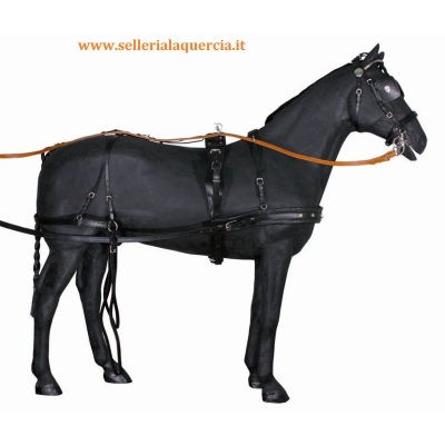 FINIMENTO DA CARROZZA DOPPIO