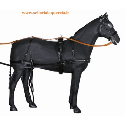 PARIGLIA HARNESS