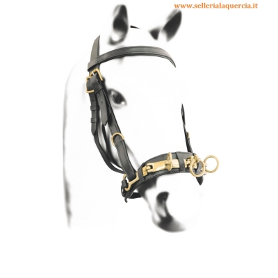 ARCHETTO SPAGNOLO INOX