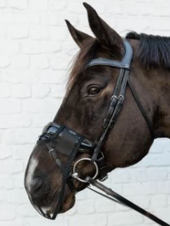 MASCHERA ANTIMOSCHE CON PARAOCCHI AMAHORSE