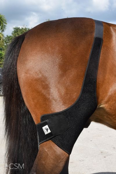 SWAT ORIGINAL ROSA FARNAM