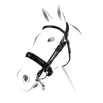 BRIGLIA INGLESE EQUETSRO