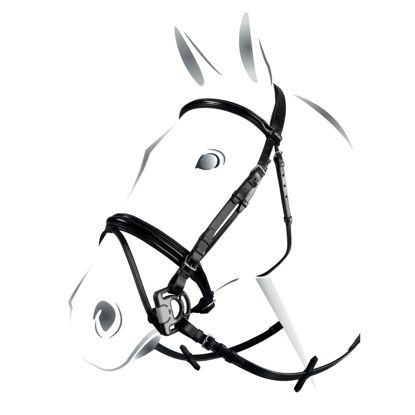 BRIGLIA EQUESTRO CON SWAROVSKI