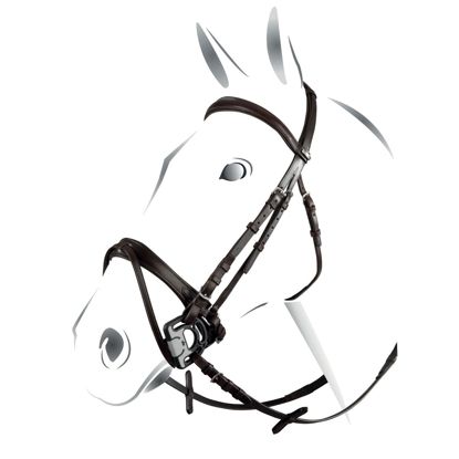 BRIGLIA DRESSAGE EQUESTRO