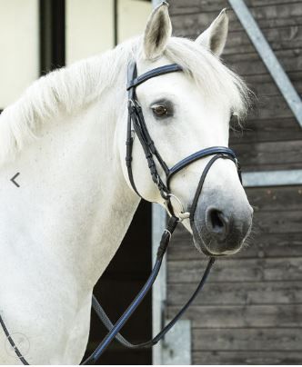 BRIGLIA OXER 120°  PARIANI