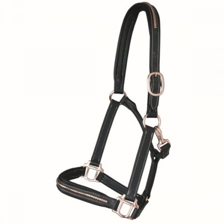 CAVEZZA CON LUNGHINA CAVALLERIA TOSCANA X FISE