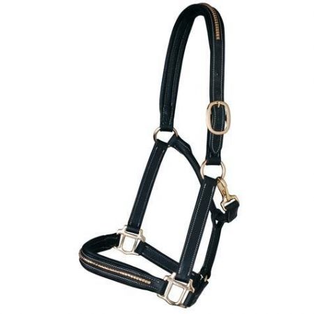 CAVEZZA CON LUNGHINA CAVALLERIA TOSCANA X FISE