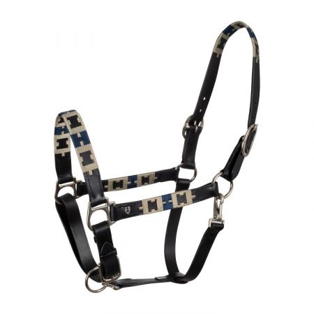 CAPEZZA EQUILINE TIMMY