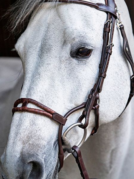 TESTIERA HACKAMORE BRIDLE DYON