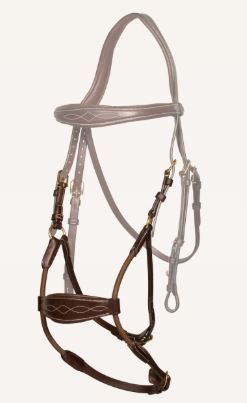 HACKAMORE PROTECTION DYON