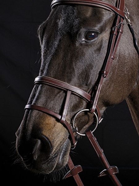 SNAFFLE 2015 BRIDLE  FREEDOM STUBBEN