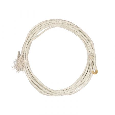 LAZO PROFESSIONALE USA
