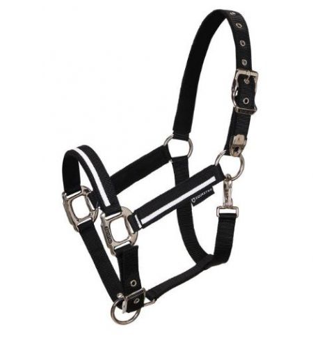 CAPEZZA EQUILINE TIMMY