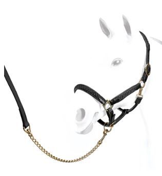 CAPEZZA CLINCHER ORO ROSA PARIANI