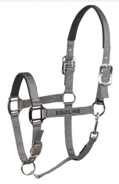 CAPEZZA EQUILINE TIMMY