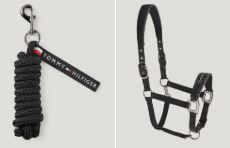 CAPEZZA CLINCHER OTTONE PARIANI