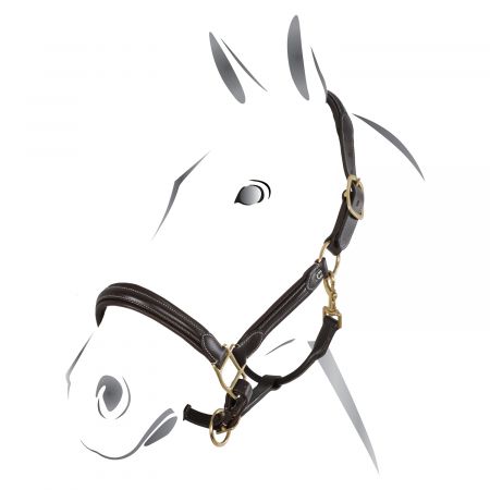 CAVEZZA EQUESTRO MODELLO WHITE TRIM CON LUNGHINA