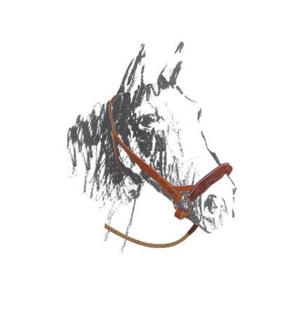 REDINI MAREMMANE IN CORDA LAKOTA