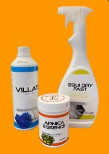 EASY WHITE  SHAMPOO SECCO VEREDUS