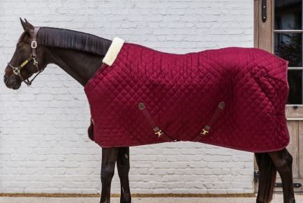 COPERTA BOX GR400 BLU EQUILINE