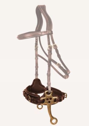 HACKAMORE JIN STIRRUP ASTE CORTE COMPLETO