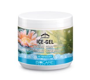 SHAMPOO DER DERMAT HORSE OFFICINALIS