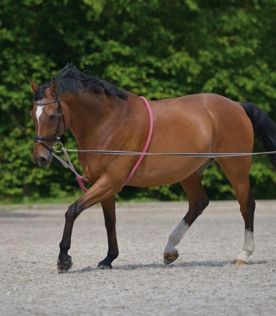 FASCIONE IN NYLON E NEOPRENE MISURA FULL AMAHORSE