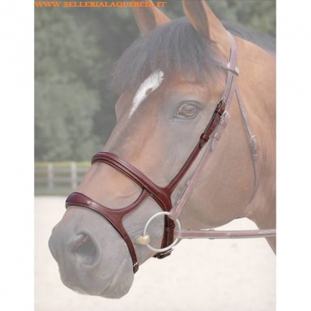 BRIGLIA INGLESE EQUETSRO