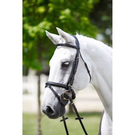 KNOKKE COMB.NOSEBAND BRIDLE CLASSIC  TRUST