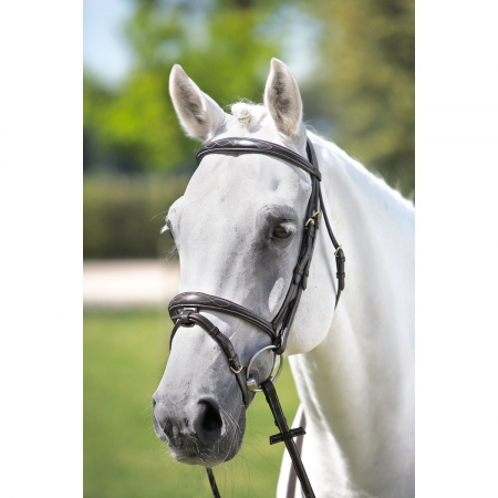 FALSTERBO T-motion bridle Trust