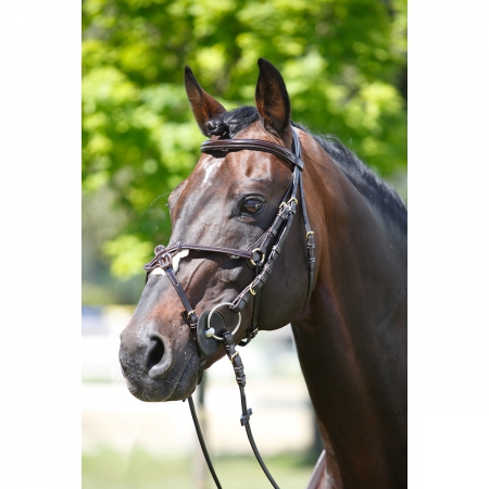 TESTIERA ANATOMICA CON CUCITURE A CONTRASTO EQUESTRO