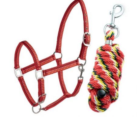 CAVEZZA E LUNGHINA EQUILINE