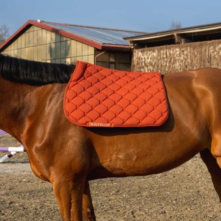 SOTTOSELLA EQUESTRO MODELLO RED TRIM 