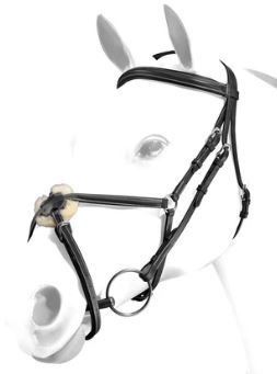 TESTIERA EQUILINE ANATOMICA