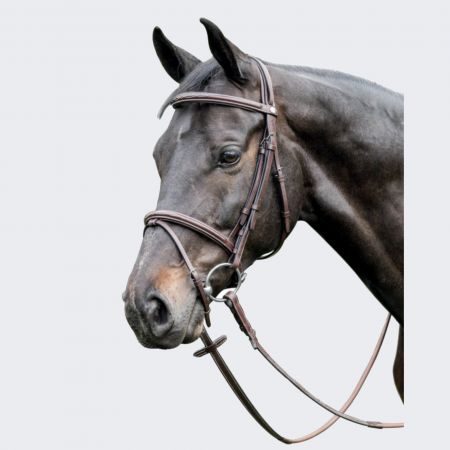 BRIGLIA PARIANI CRANK DA DRESSAGE