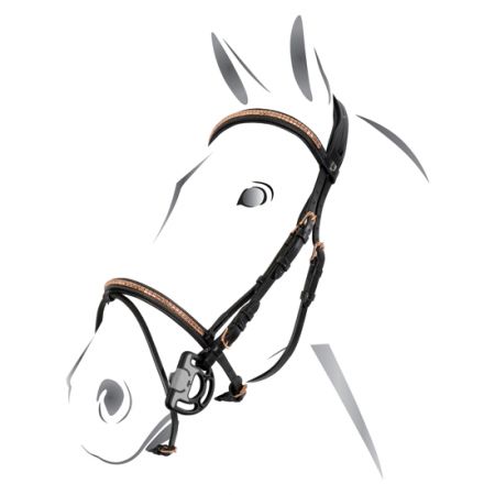 TESTIERA HACKAMORE BRIDLE DYON