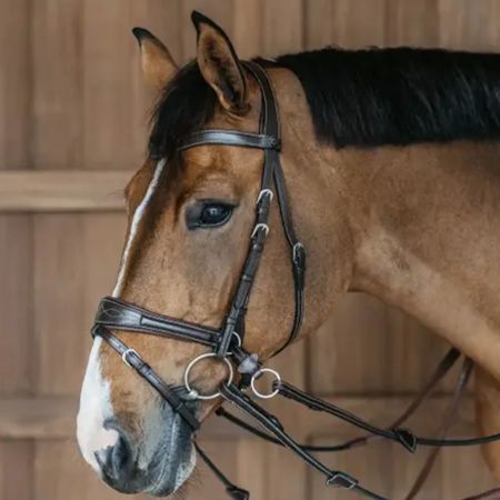 TESTIERA PARIANI BARRAGE 120