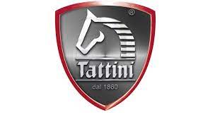 TATTINI